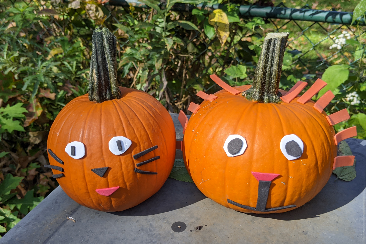 Decorated Animal Pumpkins: Activities for Dementia Patients